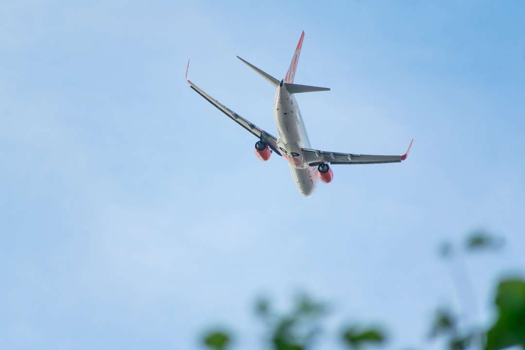 biały i czerwony samolot latający w ciągu dnia puzzle online