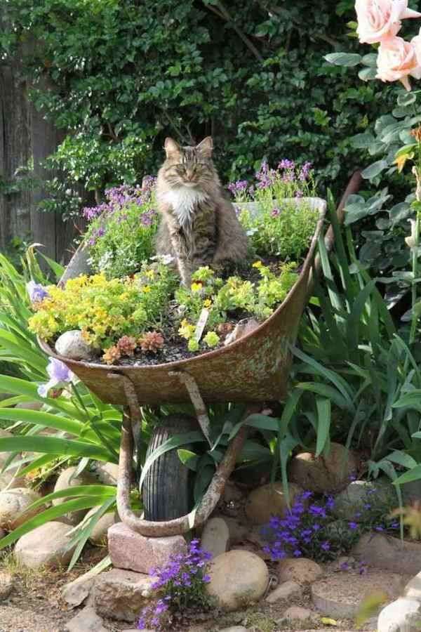 kotek w ogrodzie puzzle online
