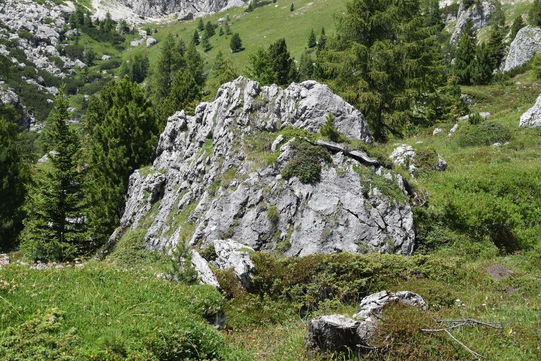 Zielona pole trawy i szara skalista góra w ciągu dnia puzzle online