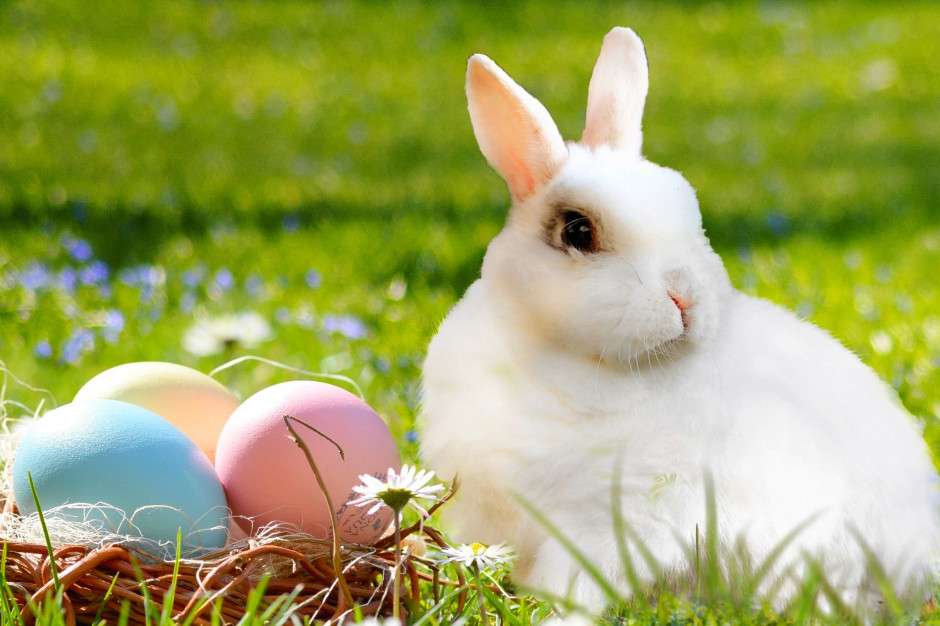 biały królik i pastelowe jajka puzzle online