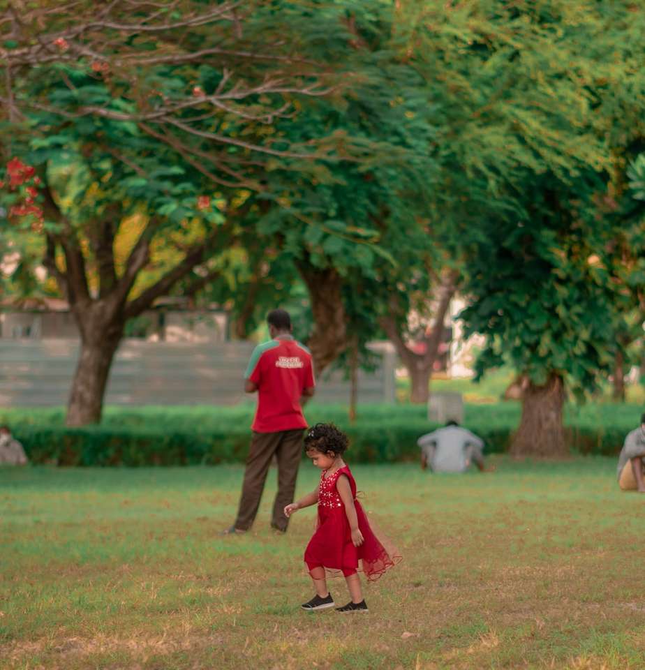 Chłopiec w czerwonej koszuli odprowadzeniu na zielonej trawy polu podczas dnia puzzle online