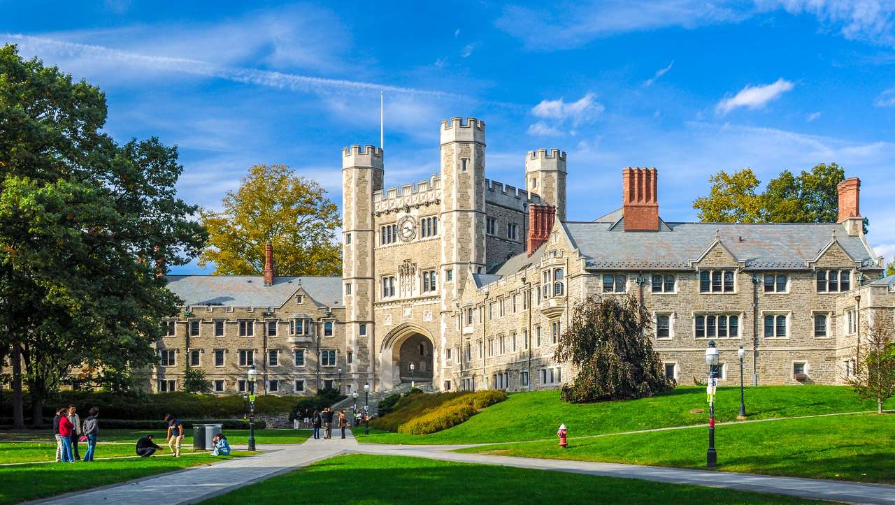 Uniwersytet Princeton puzzle online