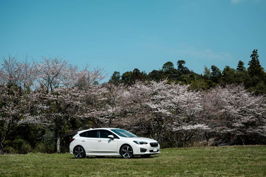 Biały BMW M 3 coupe zaparkowane na zielonej trawie polu puzzle online