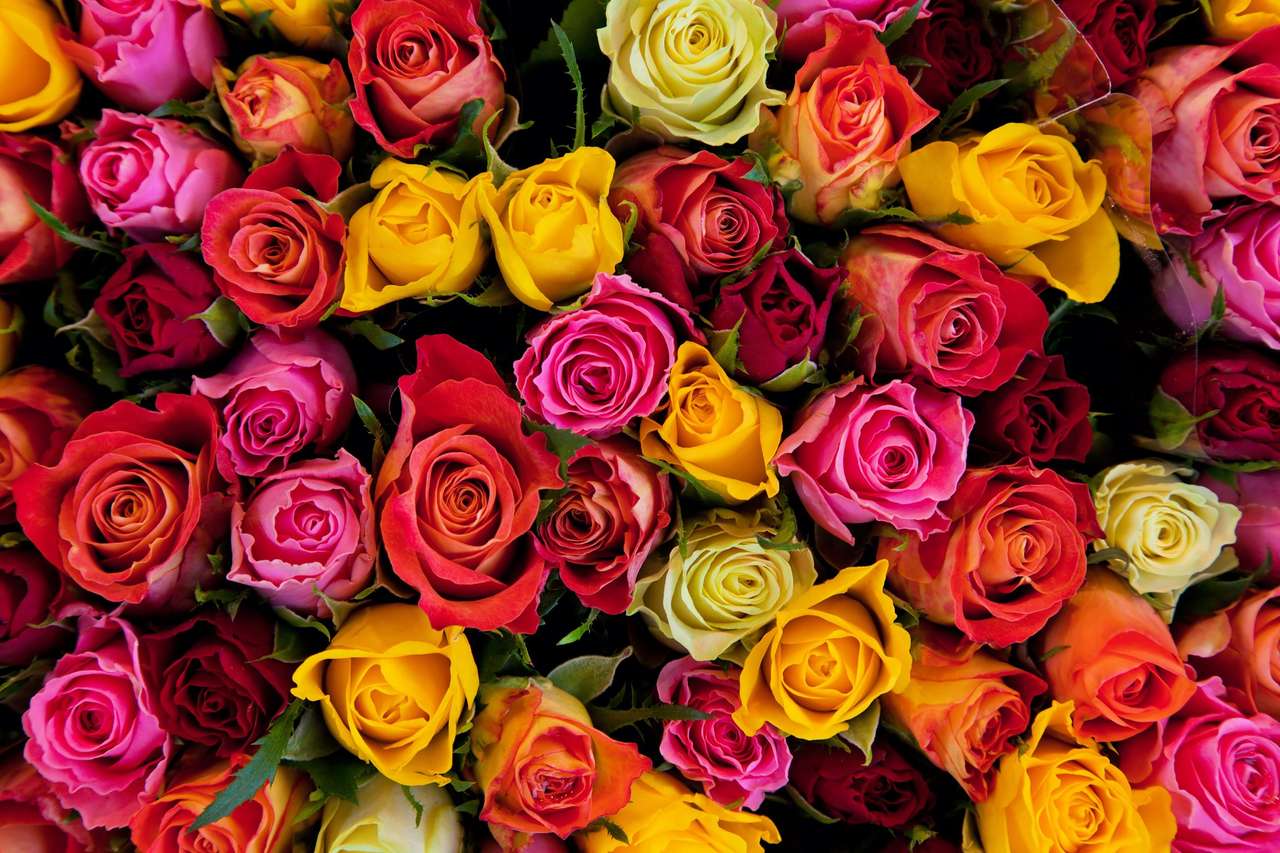 Bukiet róż dla ciebie puzzle online