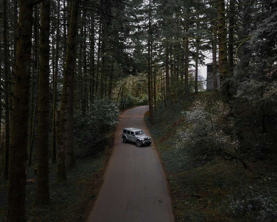 Biały samochód na drodze między drzewami w ciągu dnia puzzle online