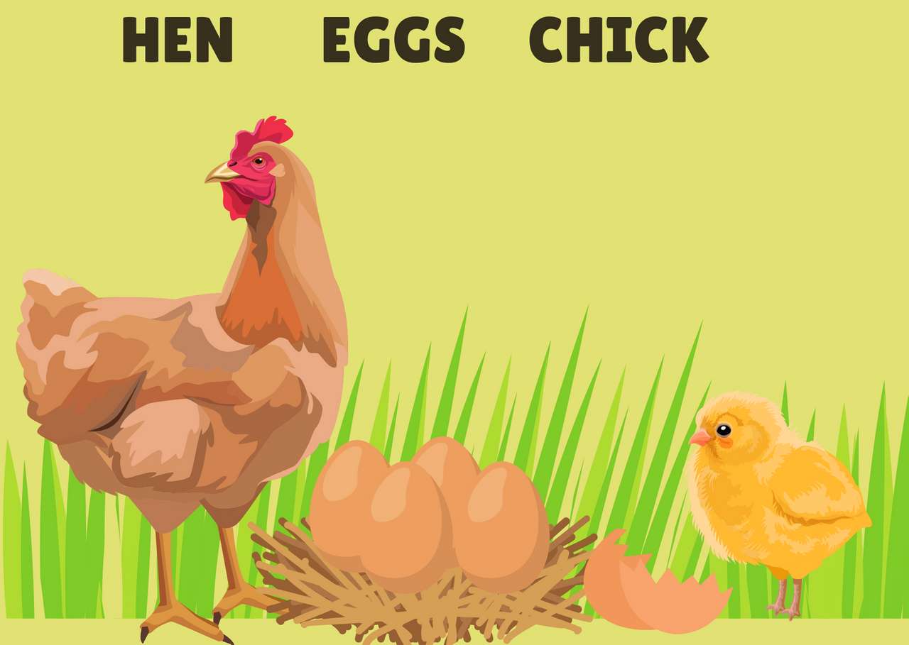 egg hen chick puzzle online