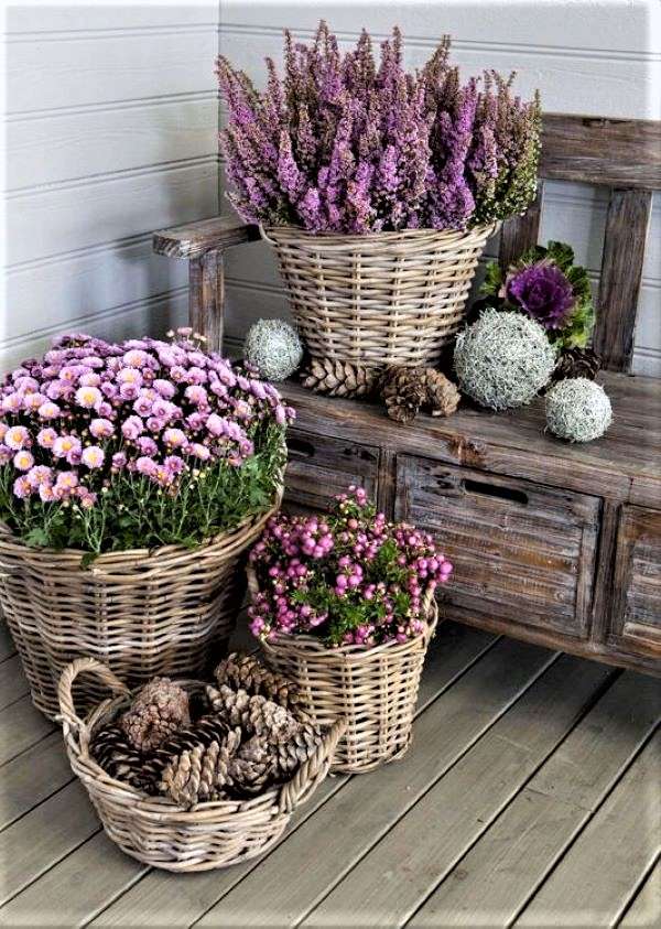 Jesienna dekoracja z fioletowymi roślinami w domu puzzle online