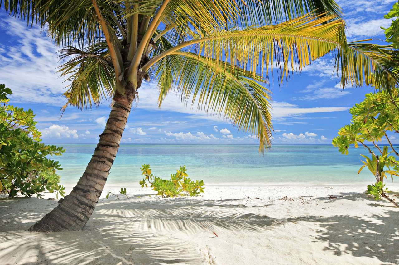 Plaża na Malediwach puzzle online