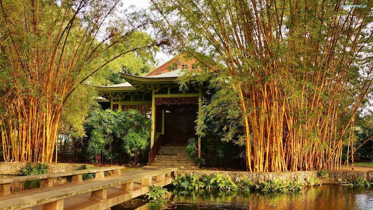 dom przy stawie wśród bambusów puzzle online
