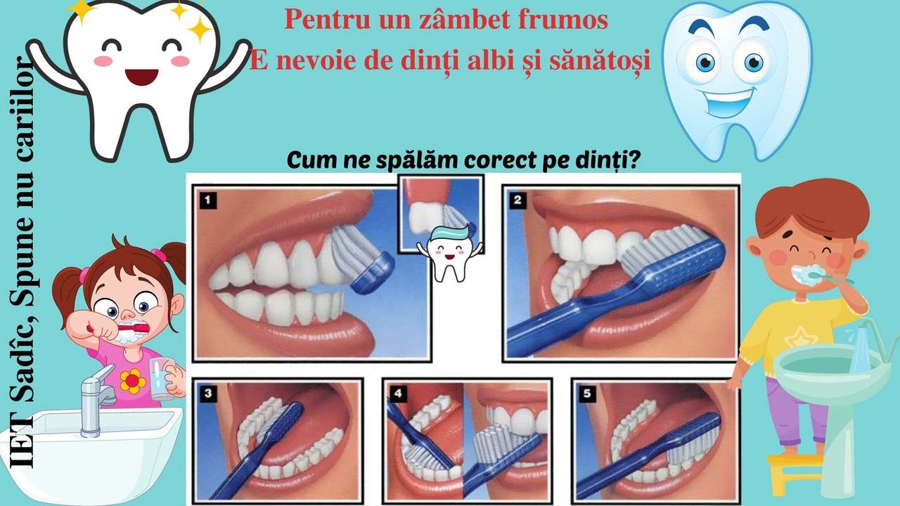 Cum ne spălăm corect pe dinţi? legpuzzel