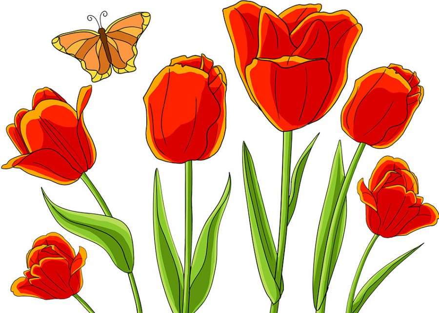 Tulipan - Mała grupa puzzle online