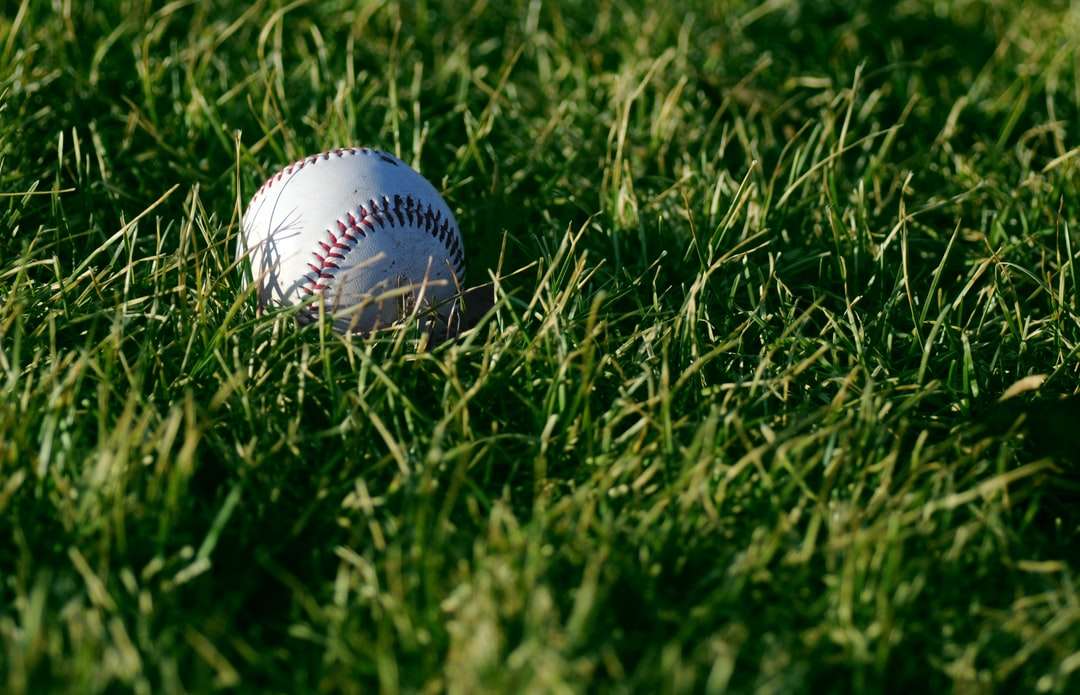 Biały baseball na zielonej trawie w ciągu dnia puzzle online