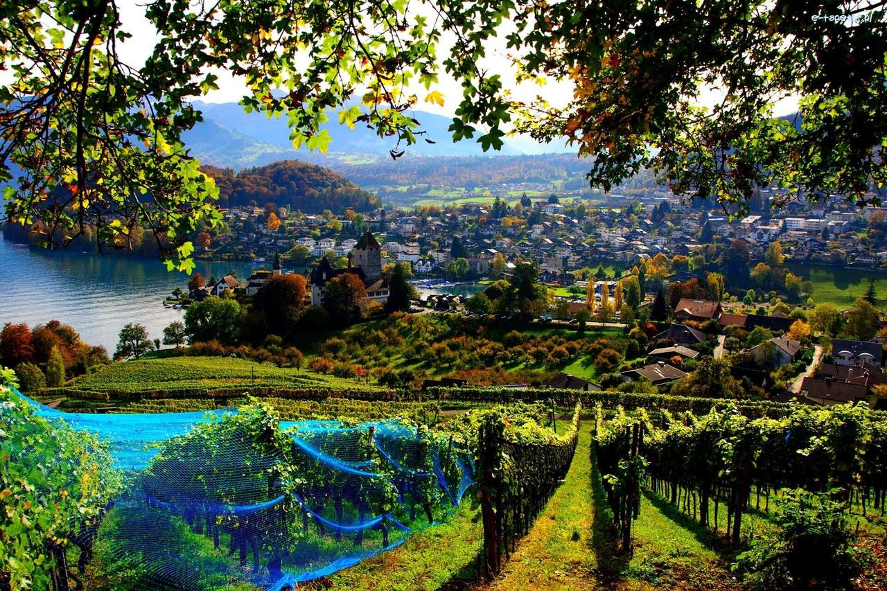 panorama miasta w  Szwajcarii puzzle online