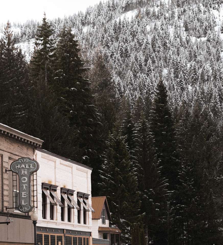 Brązowy budynek betonowy w pobliżu sosny pokryte śniegiem puzzle online