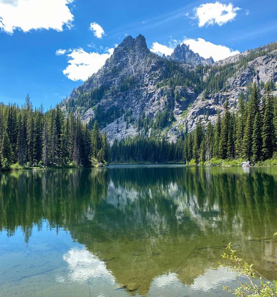 Zielone sosny w pobliżu jeziora i góry pod błękitne niebo puzzle online