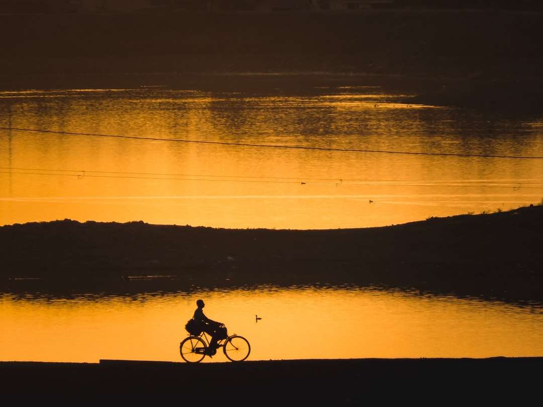 Sylwetka 2 osób jazdy na rowerze na brzegu morza puzzle online