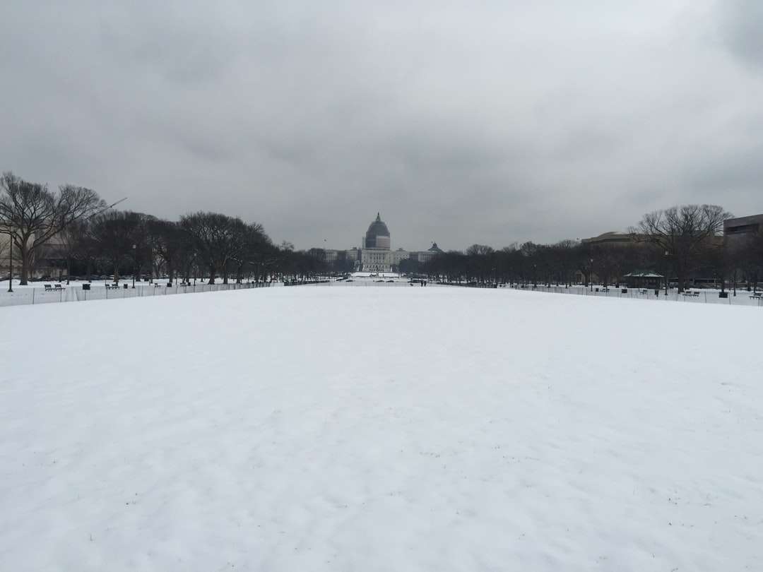 Śnieg pokryte polem w ciągu dnia puzzle online