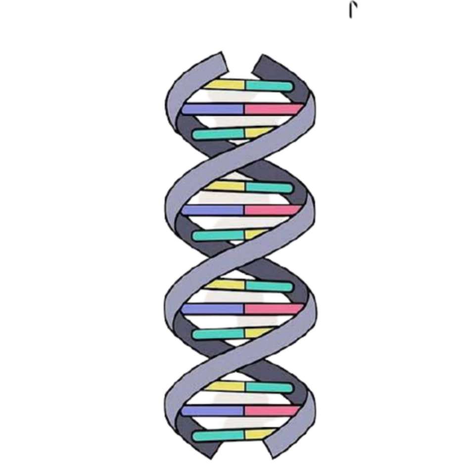 Gra DNA. puzzle online