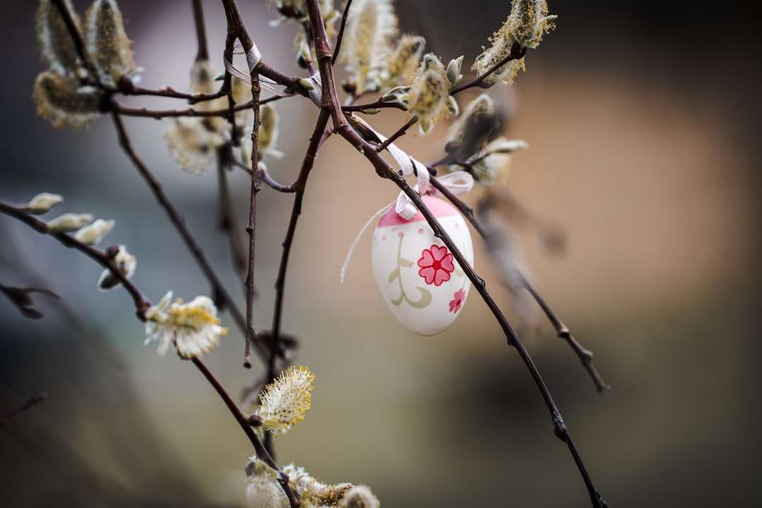 Białe i różowe pąki kwiatowe w obiektywach przesuwnych puzzle online