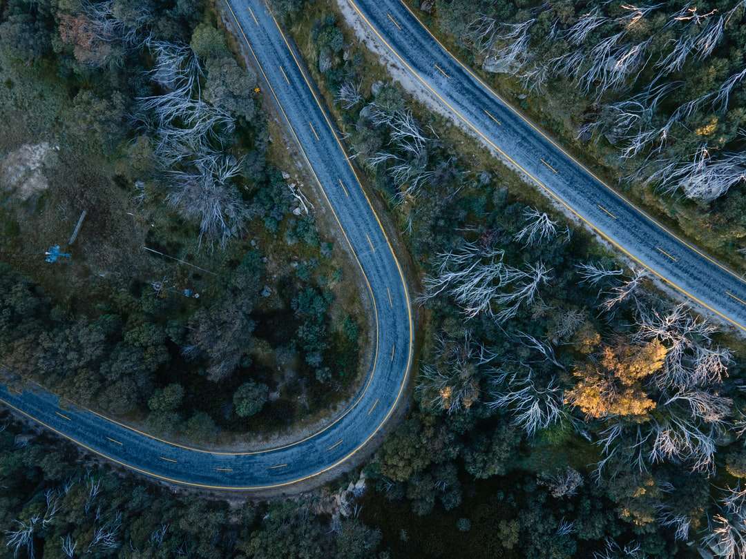 Widok z lotu ptaka drogi w środku drzew puzzle online