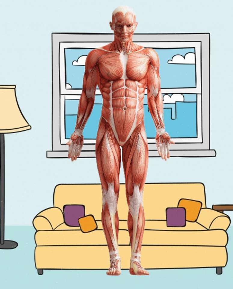 Mięśnie broni ludzkiego ciała puzzle online