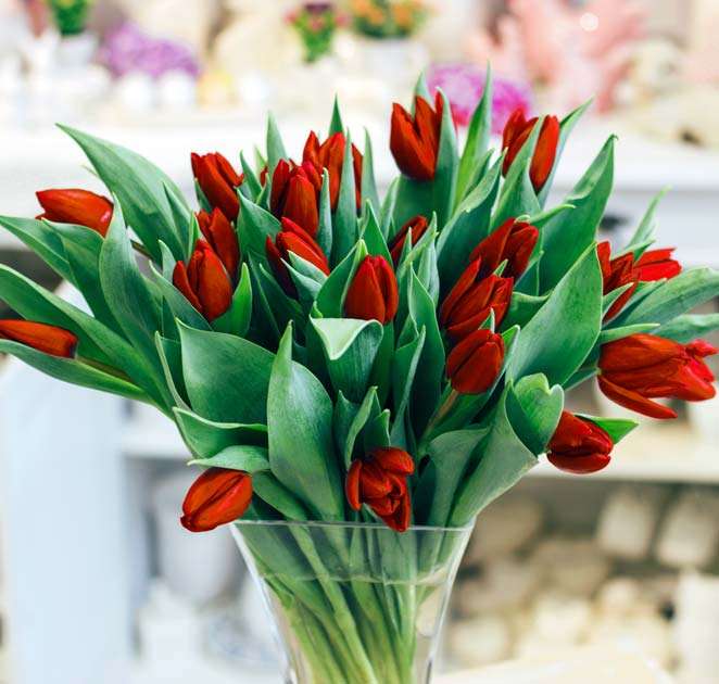 czerwone tulipany puzzle online
