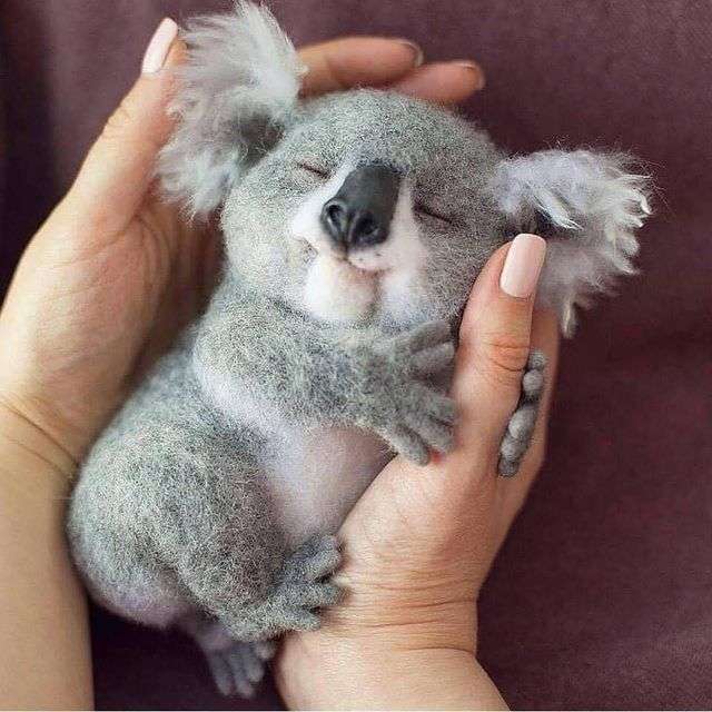 malutki koala puzzle
