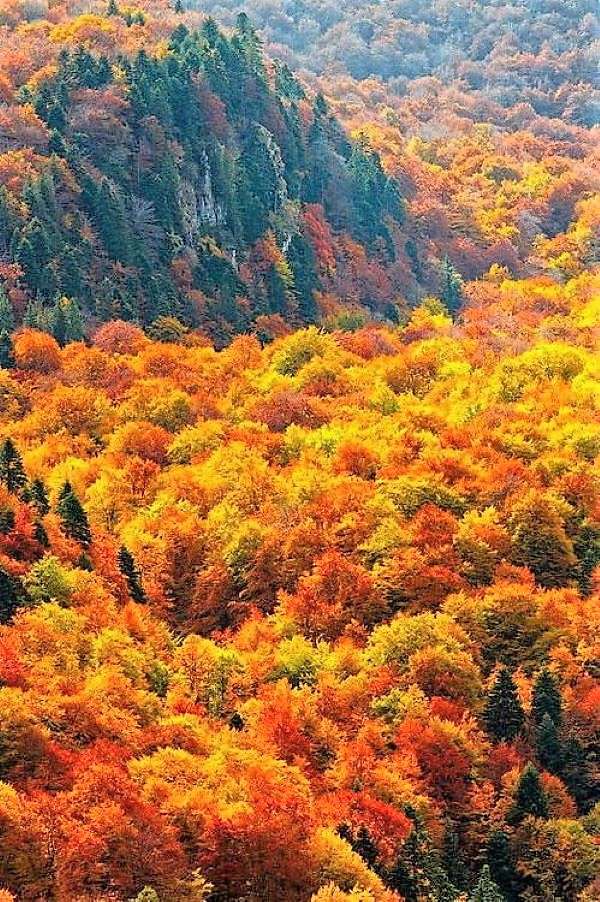 Jesienny krajobraz w Bułgarii puzzle online
