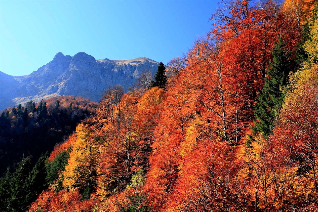 Jesienny krajobraz w Bułgarii puzzle online