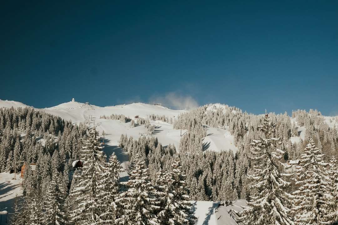 Árboles Y MontaÑas Cubiertas De Nieve Durante El DÍa 12 Elementos Play Jigsaw Puzzle Gratis 7332