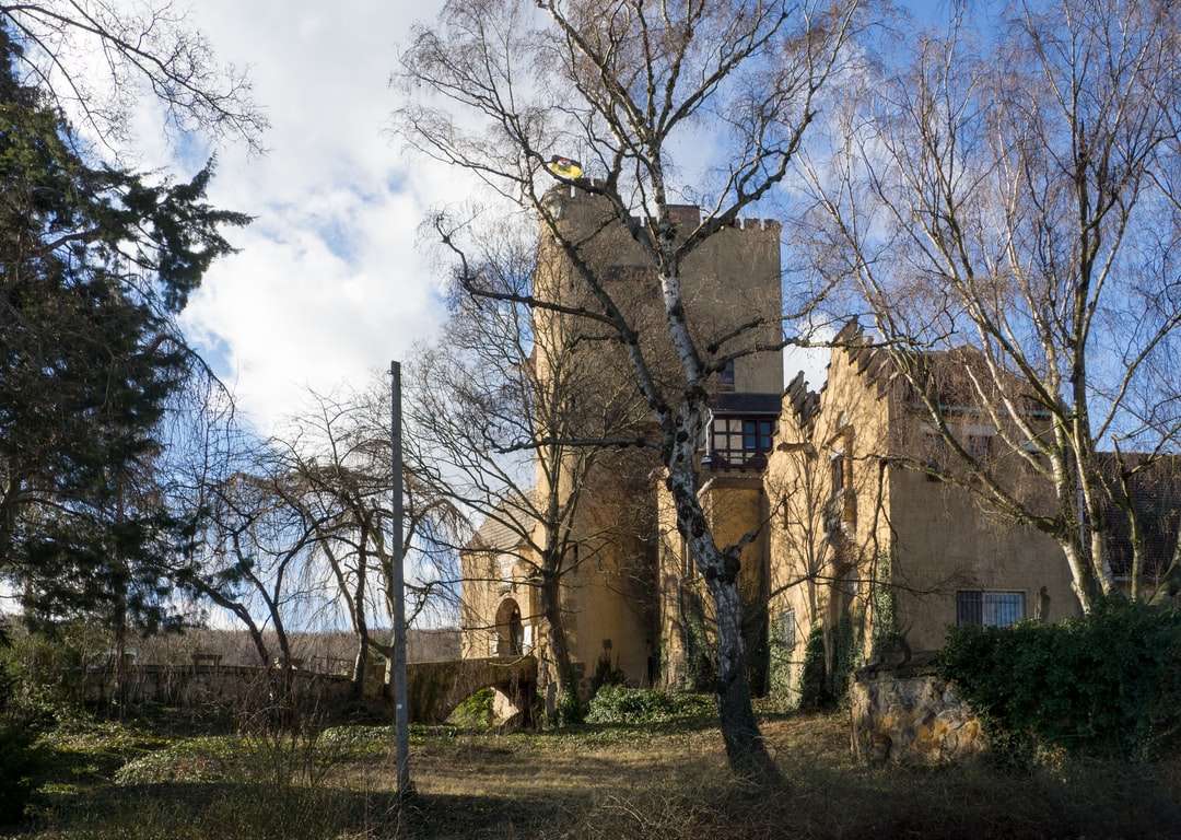 Brązowy betonowy budynek blisko nagich drzew pod chmurnym niebem puzzle online