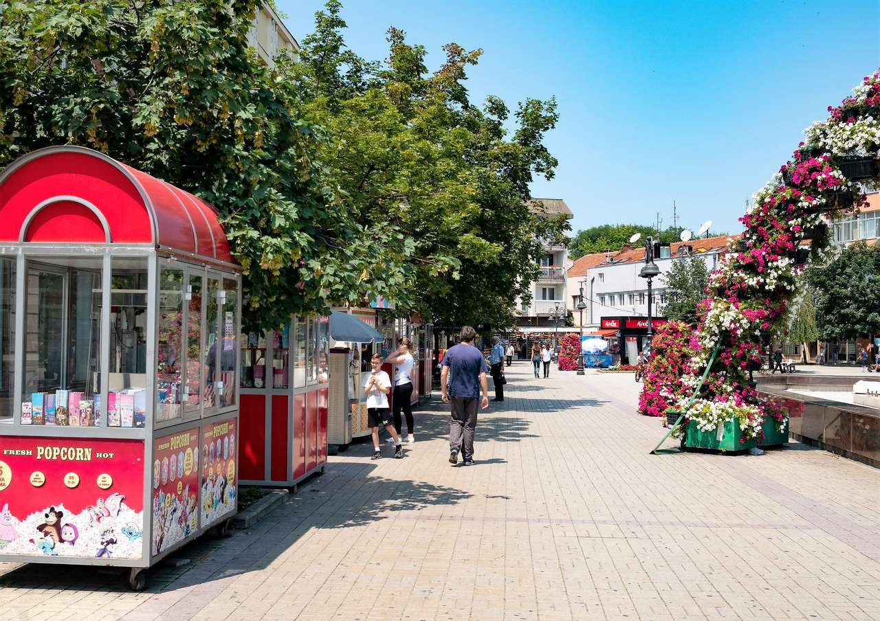 Smederevo City w Serbii puzzle online