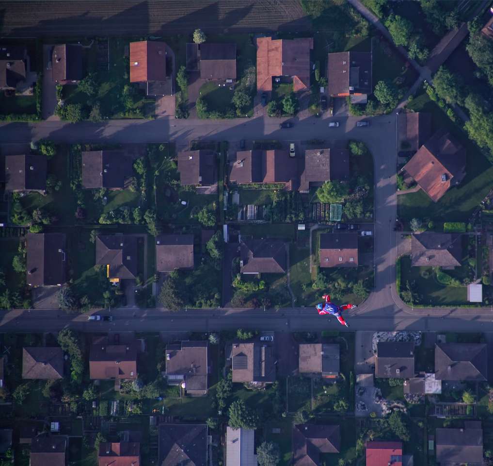 Widok z lotu ptaka zielonych drzew i domów puzzle online