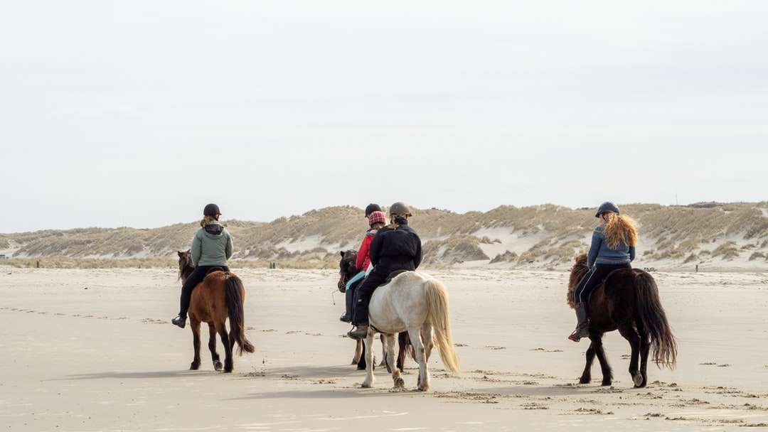 Mężczyzna w błękitnej kurtce jedzie biały koń na białym piasku puzzle online