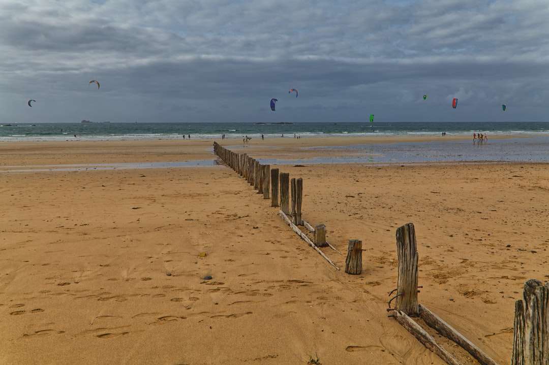Brown drewniany ogrodzenie na brown piasku blisko morza pod chmurnym niebem puzzle online