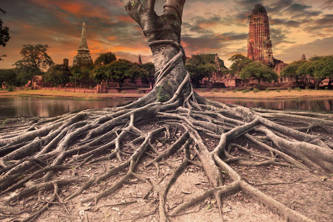 Árvore com grandes raízes quebra-cabeça