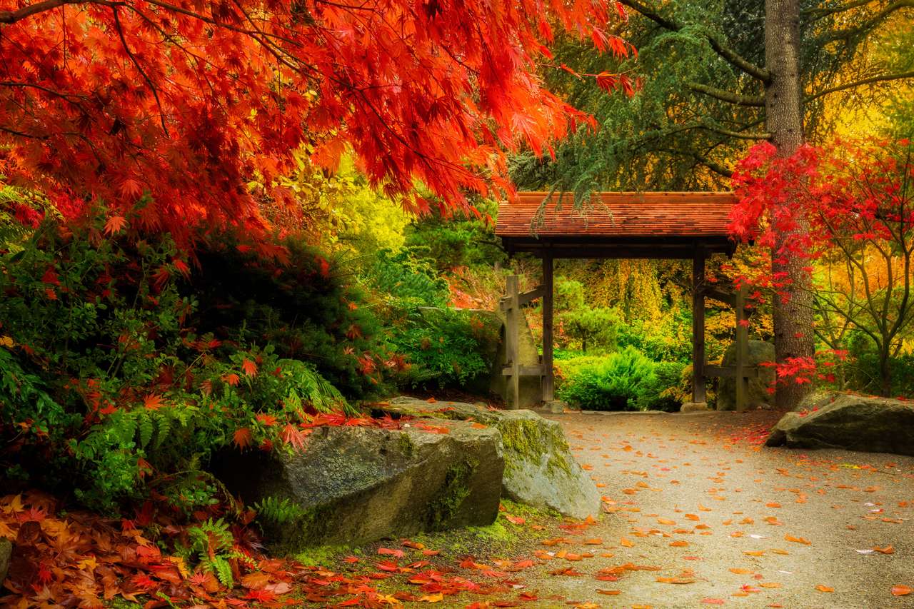Jesień w ogrodzie japońskim puzzle online
