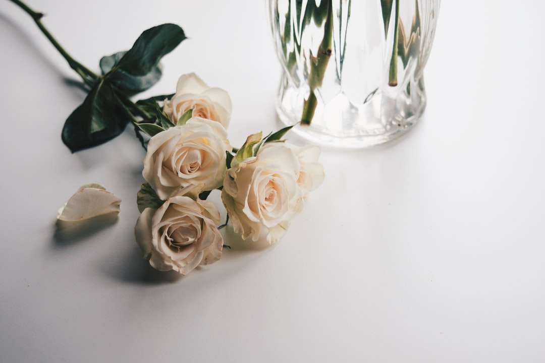 Białe róże w wyraźnym szklanym wazonie puzzle online