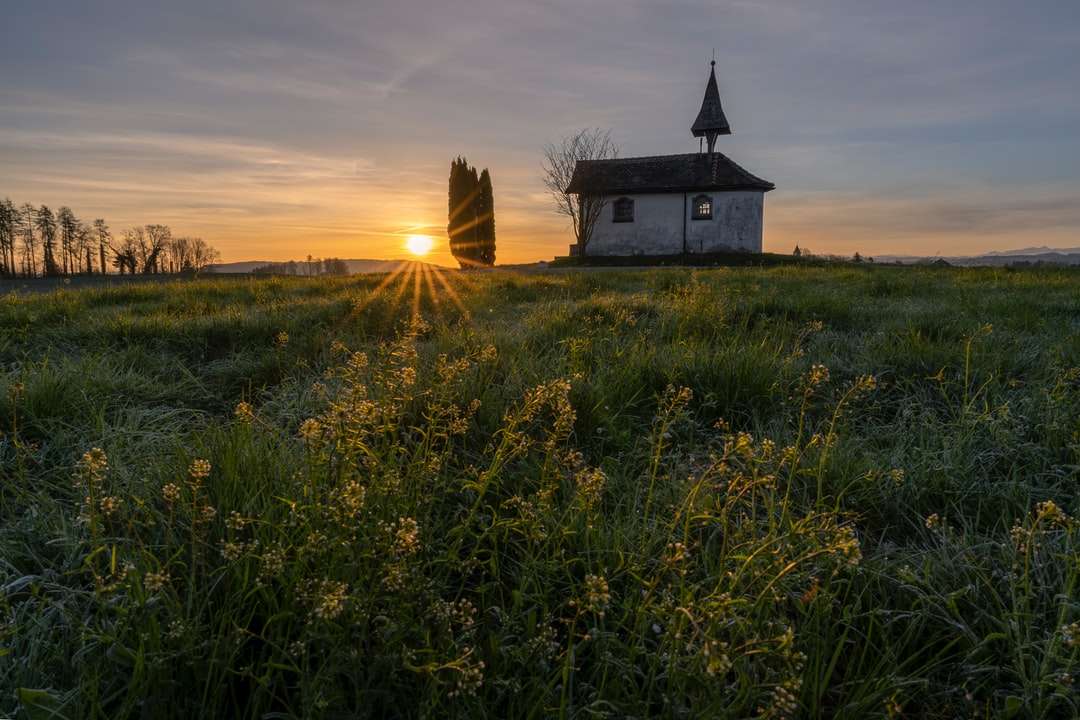 Biały i czarny dom na polu zielonej trawy podczas zachodu słońca puzzle online