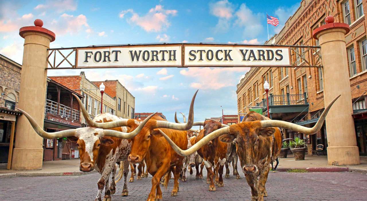 Teksas Fort Worth. puzzle online