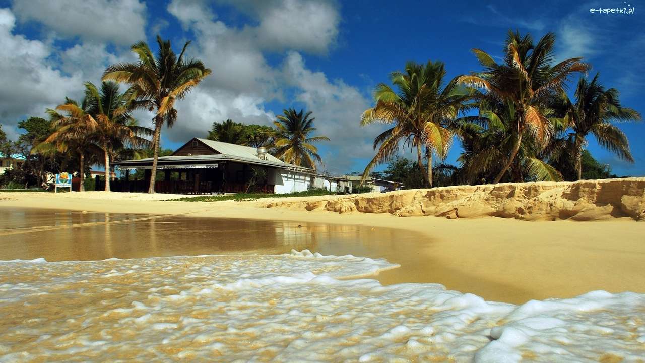 Plaża w tropikach puzzle online
