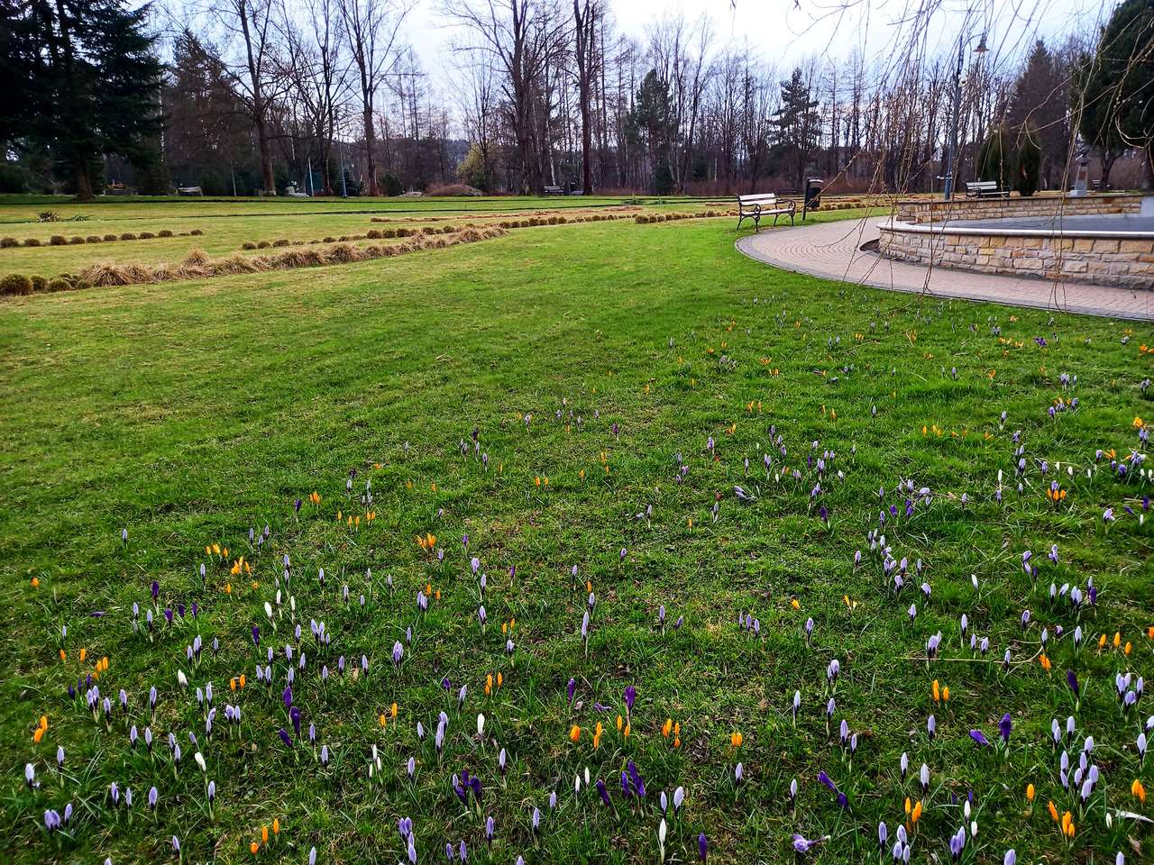 Kwiatki w parku puzzle online
