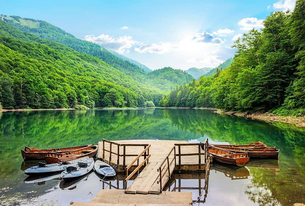 Biogradska Park Narodowy Gora w Czarnogórze puzzle online