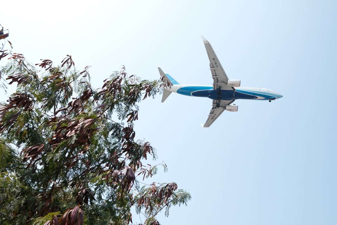 Biały i niebieski samolot latający nad zielonymi drzewami puzzle online
