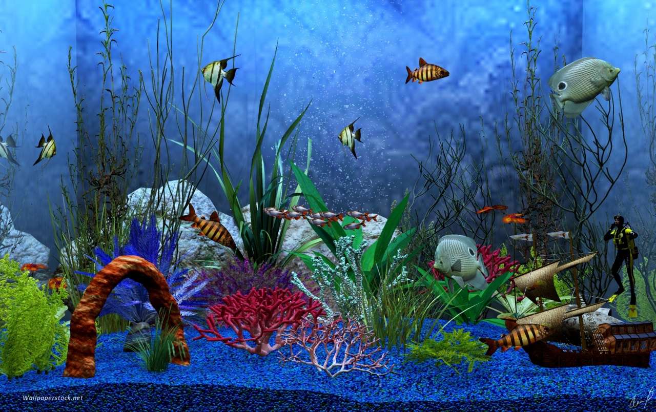 Akwarium ryb tropikalnej puzzle online