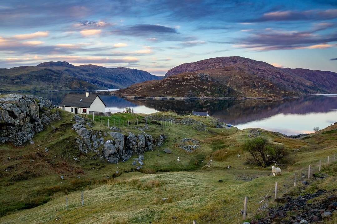 Biały i szary dom na zielonym polu trawy w pobliżu ciała puzzle online