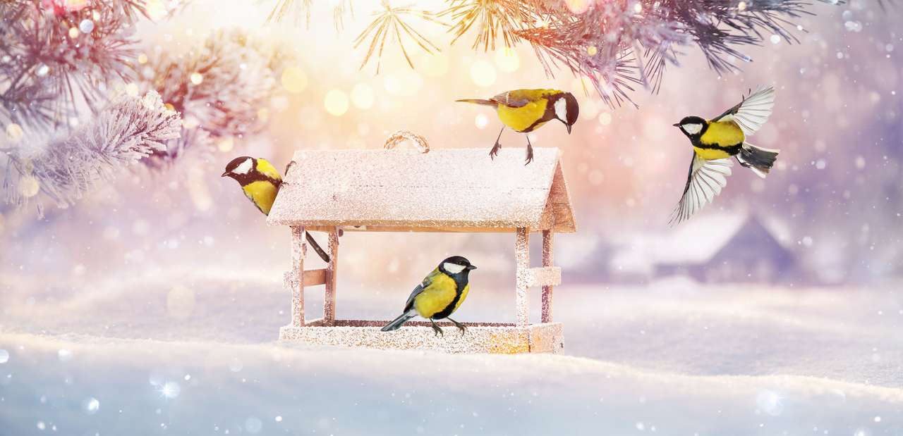 Uccelli invernali puzzle