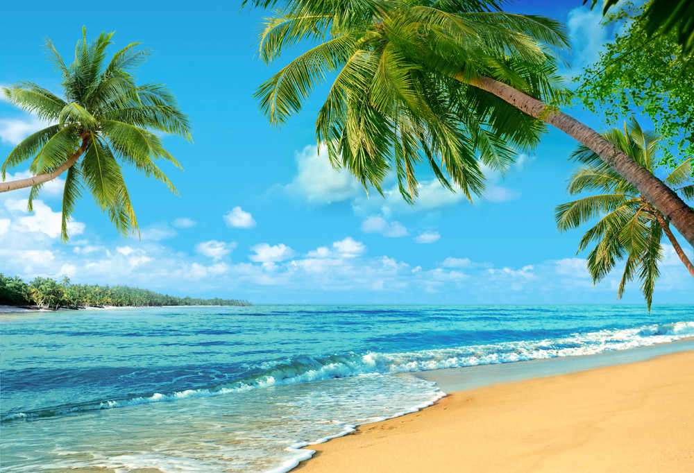 Plaża w Hawajach puzzle online