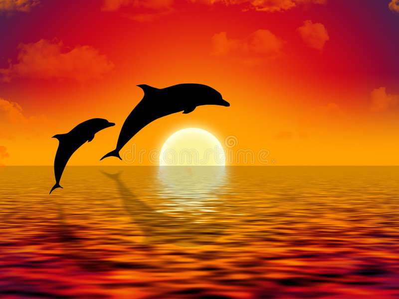 Delfiny, które Kołymban o zachodzie słońca puzzle online