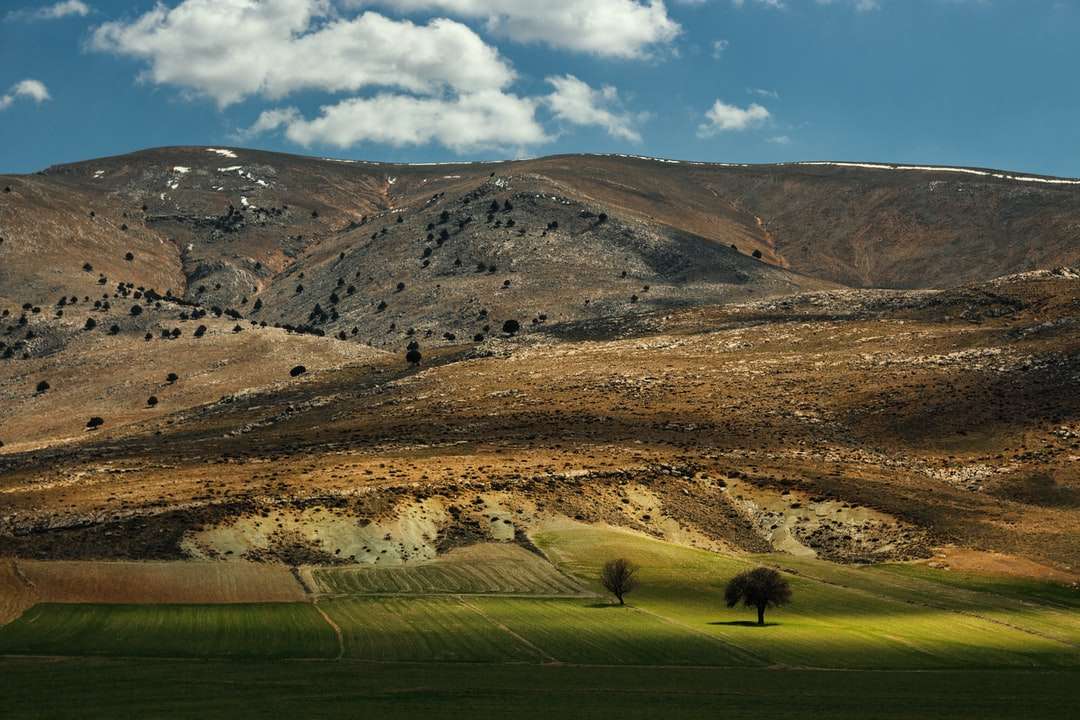 Zielona trawa pole w pobliżu brązowych gór pod błękitnym niebem puzzle online